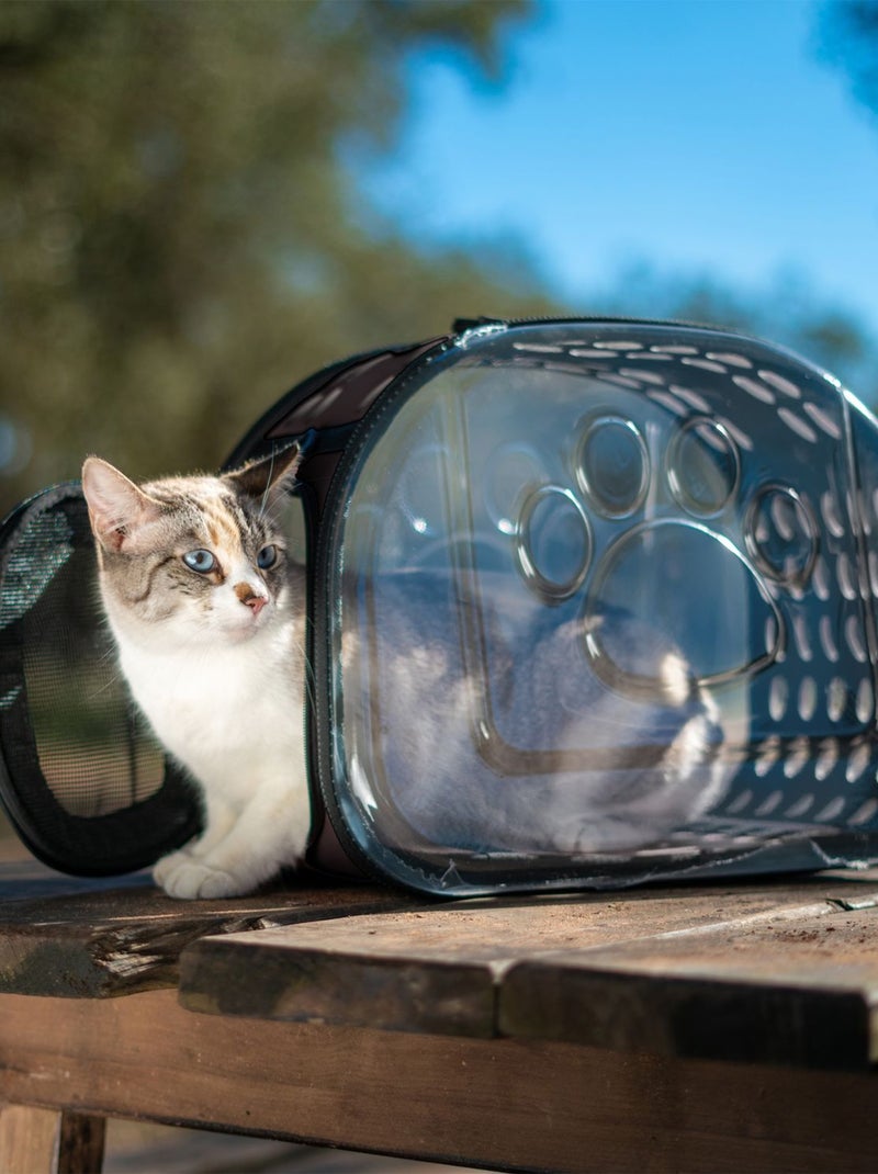 Sac de transport transparent pour chien et chat Noir - Kiabi