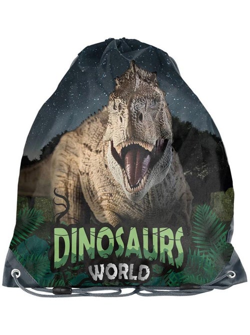 Sac piscine à cordon 'Dinosaur World' dinosaures 38 x 34 cm – Paso - Kiabi Sac piscine à cordon 'Dinosaur World' dinosaures 38 x 34 cm – Paso - Kiabi