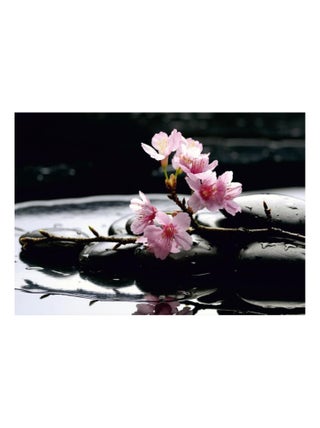 Sakura blossoms on stones, photo murale, 360x254 cm, 4 parts