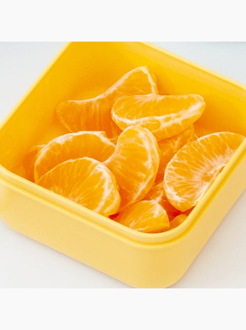 Sanckbox-3 Boîtes à Lunch Jurassique Miniland - Kiabi