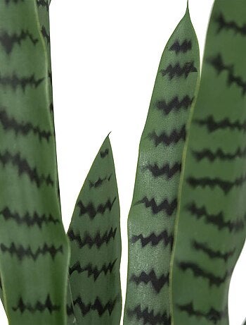 Sansevieria artificielle avec pot plastique