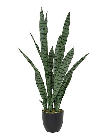 Sansevieria artificielle en pot TOBY