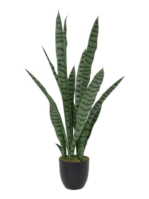 Sansevieria artificielle en pot TOBY - Kiabi Sansevieria artificielle en pot TOBY - Kiabi