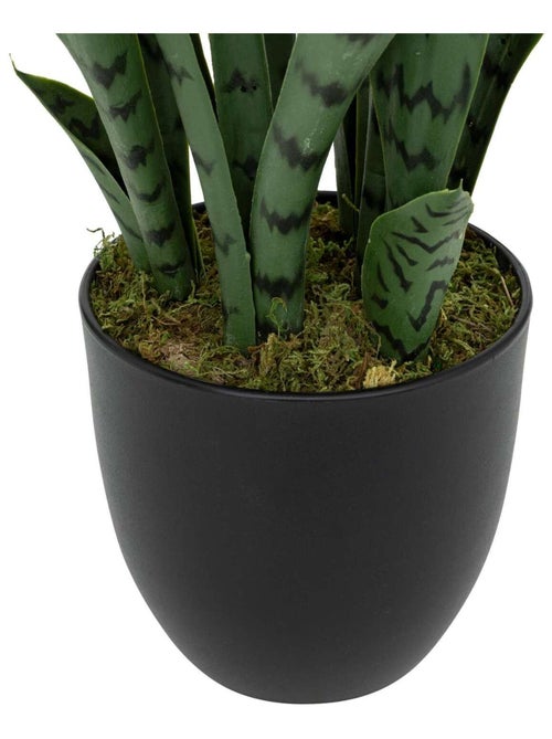 Sansevieria artificielle en pot TOBY - Kiabi Sansevieria artificielle en pot TOBY - Kiabi