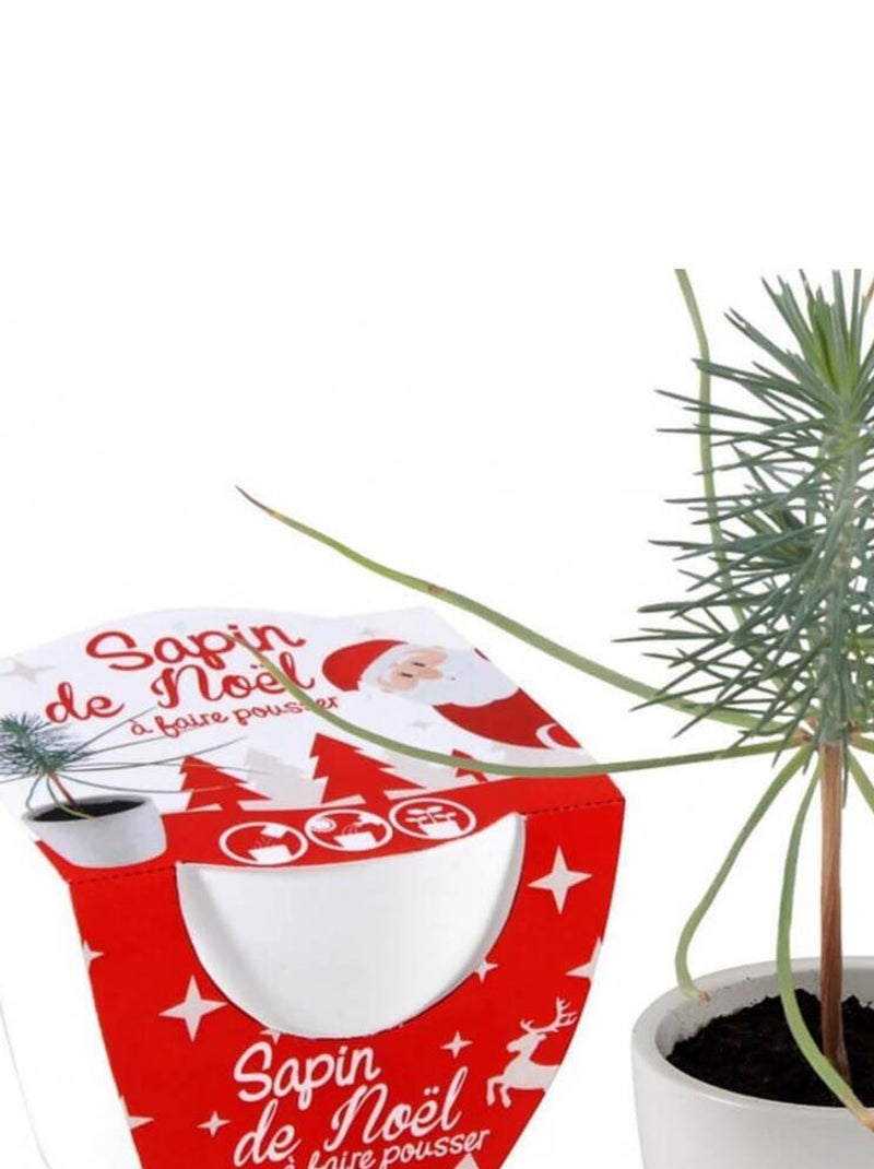 Sapin de Noël avec pot en céramique Blanc 8 cm N/A - Kiabi