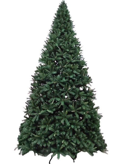 Sapin royal majestic 600cm - Kiabi