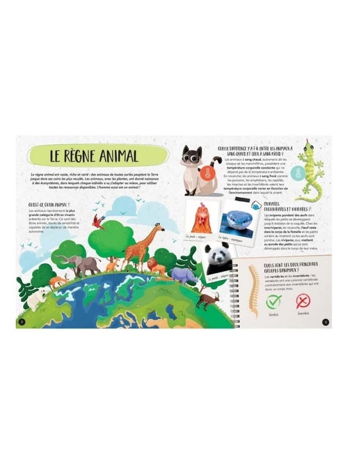 Sassi Junior | Coffret Méga ATLAS des animaux - Kiabi Sassi Junior | Coffret Méga ATLAS des animaux - Kiabi