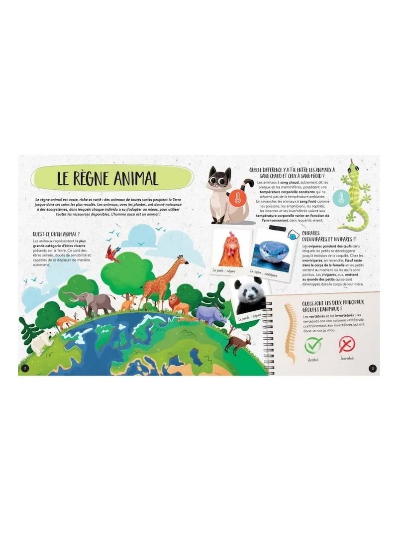 Sassi Junior | Coffret Méga ATLAS des animaux N/A - Kiabi