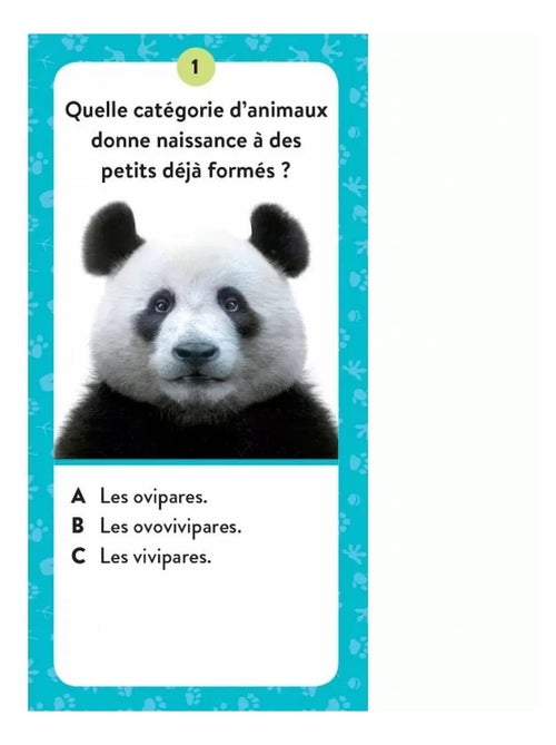 Sassi Junior | Coffret Méga ATLAS des animaux - Kiabi Sassi Junior | Coffret Méga ATLAS des animaux - Kiabi