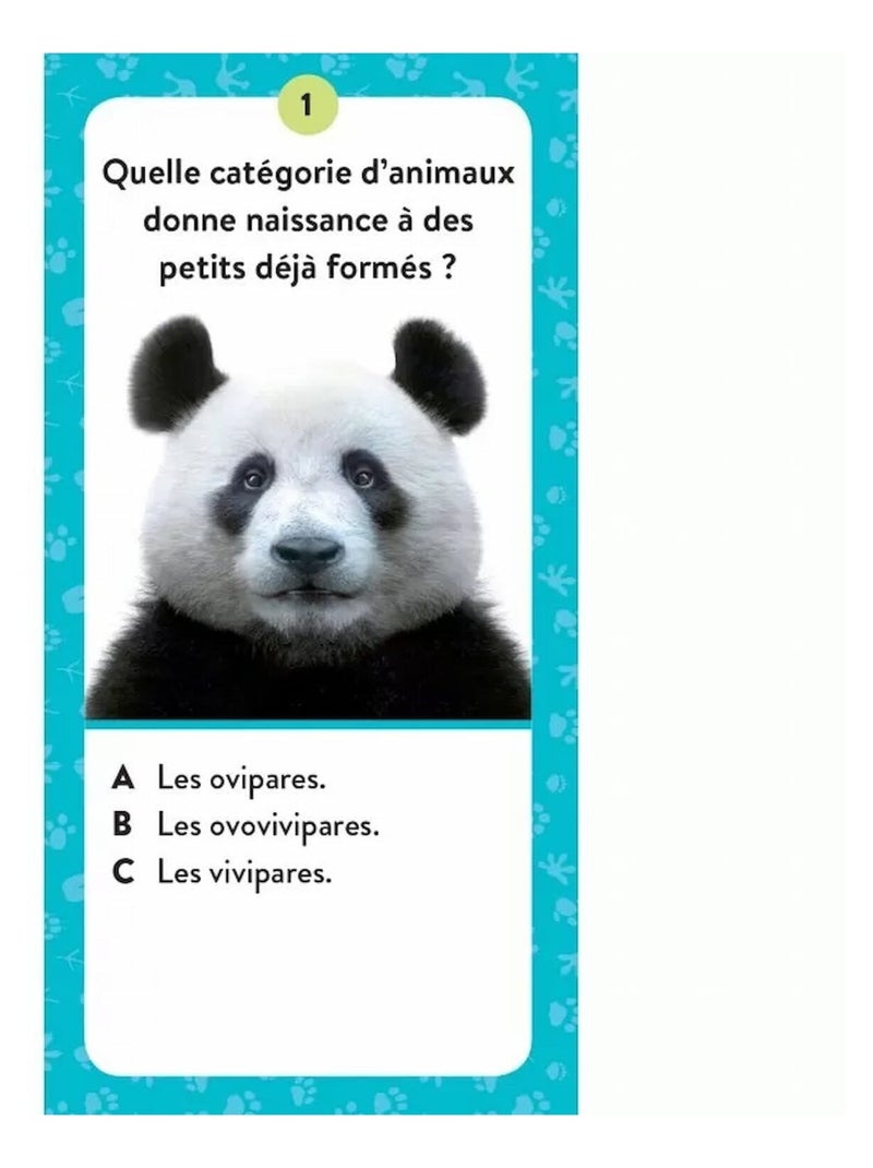 Sassi Junior | Coffret Méga ATLAS des animaux N/A - Kiabi