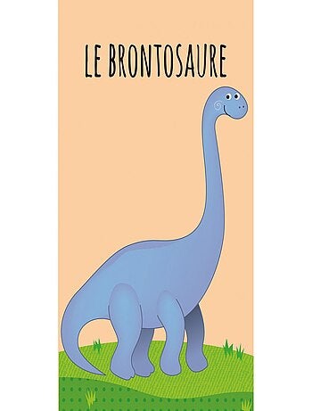 Sassi Junior | Lot de 8 Livres - Ma petite bibliothèque - Les dinosaures