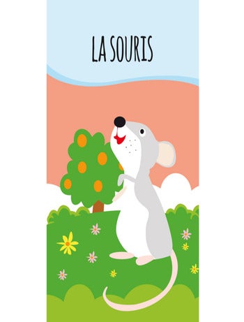 Sassi Junior | Lot de 8 Livres - Ma petite bibliothèque - Mes petits animaux