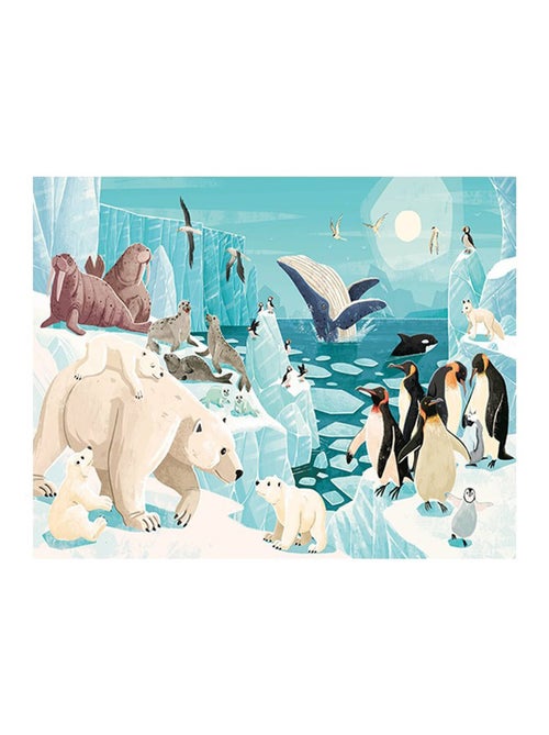 Sassi Junior|Puzzle & Livre - La Planète en Danger Les glaces - Kiabi