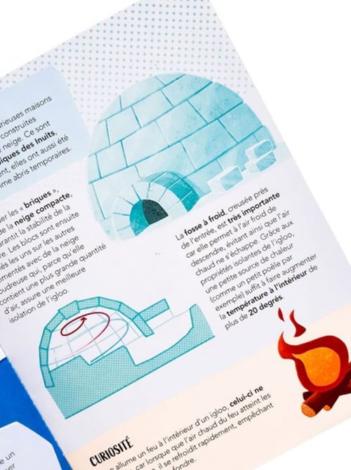 Sassi Junior|Puzzle & Livre - La Planète en Danger Les glaces - Kiabi