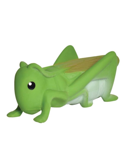 Sauterelle en caoutchouc naturel - Kiabi