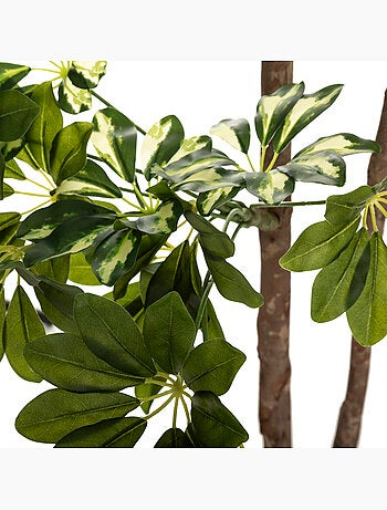 Schefflera artificiel