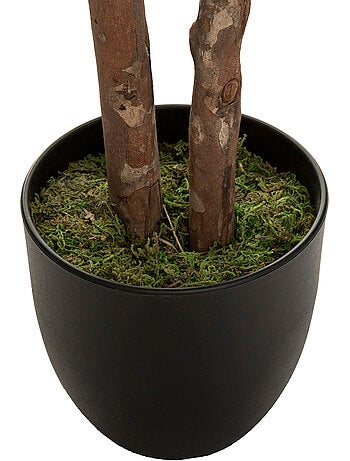 Schefflera artificiel