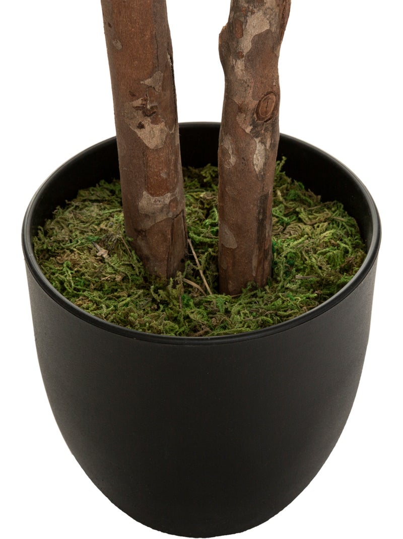 Schefflera artificiel Vert - Kiabi