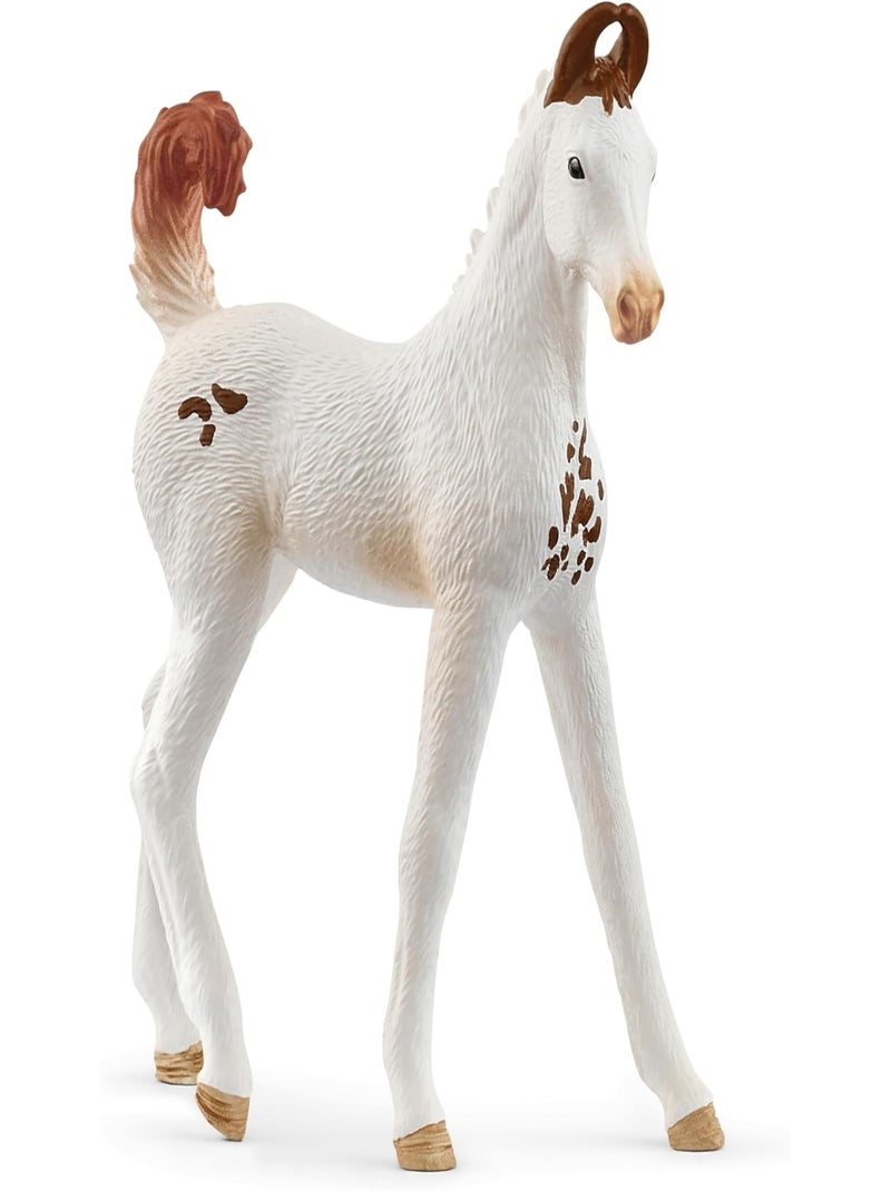 Schleich Horse Club Poulain Marwari Multicolore - Kiabi