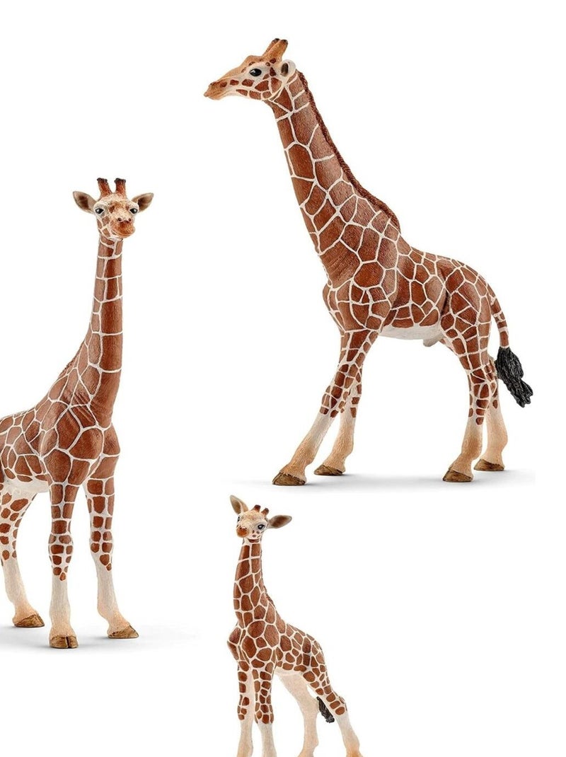 SCHLEICH – Wild Life – 14749+14750+14751 N/A - Kiabi