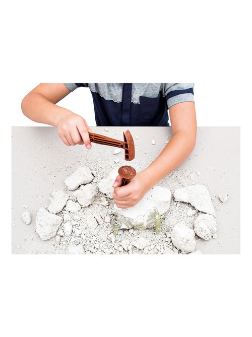 Science et jeu : Archéo-ludic : T-Rex et Tricératops phosphorescents - Kiabi