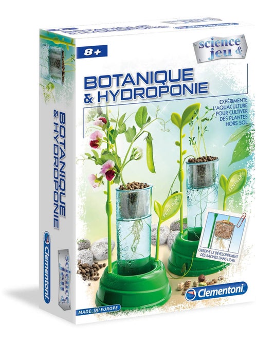Science et jeu : Botanique et Hydroponie - Kiabi
