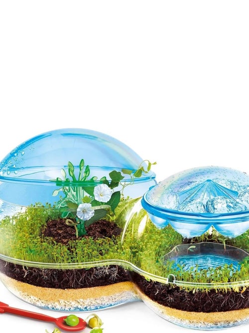 Science et jeu : La Biosphère - Kiabi