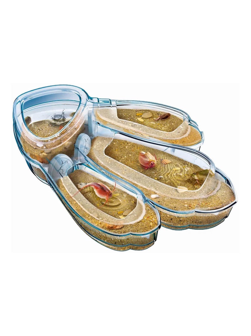 Science et jeu : Laboratoire : Triops, les animaux préhistoriques Multicolore - Kiabi