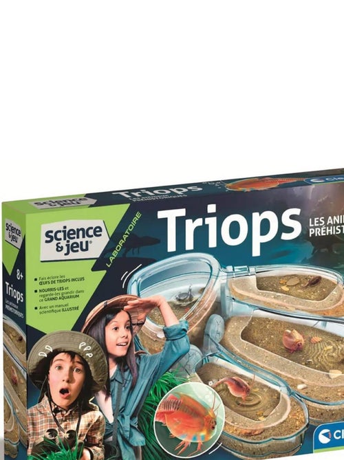 Science et jeu : Laboratoire : Triops, les animaux préhistoriques - Kiabi