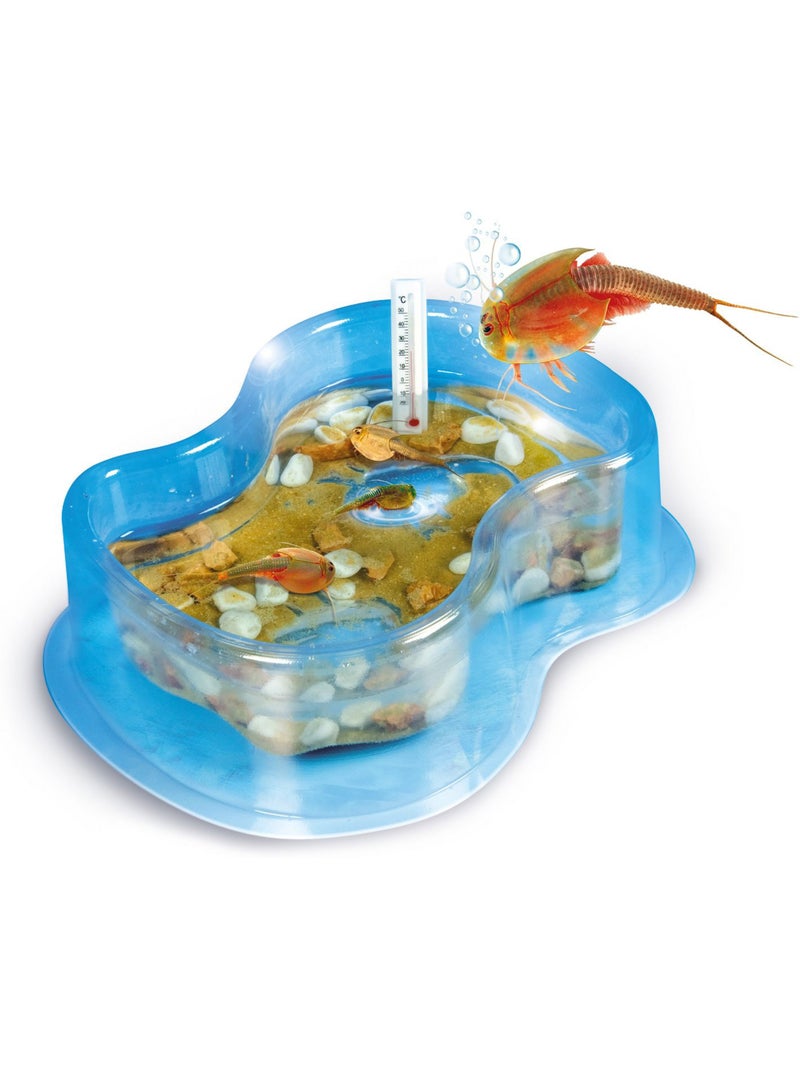 Science et jeu : Mes premiers Triops Multicolore - Kiabi