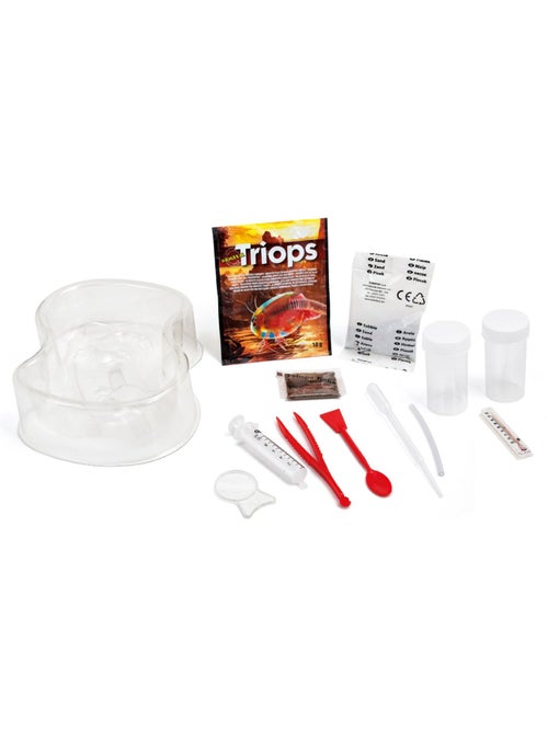 Science et jeu : Mes premiers Triops - Kiabi