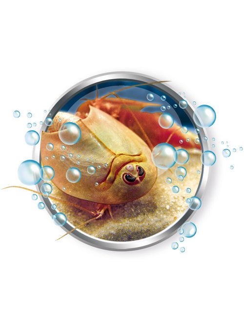 Science et jeu : Mes premiers Triops - Kiabi