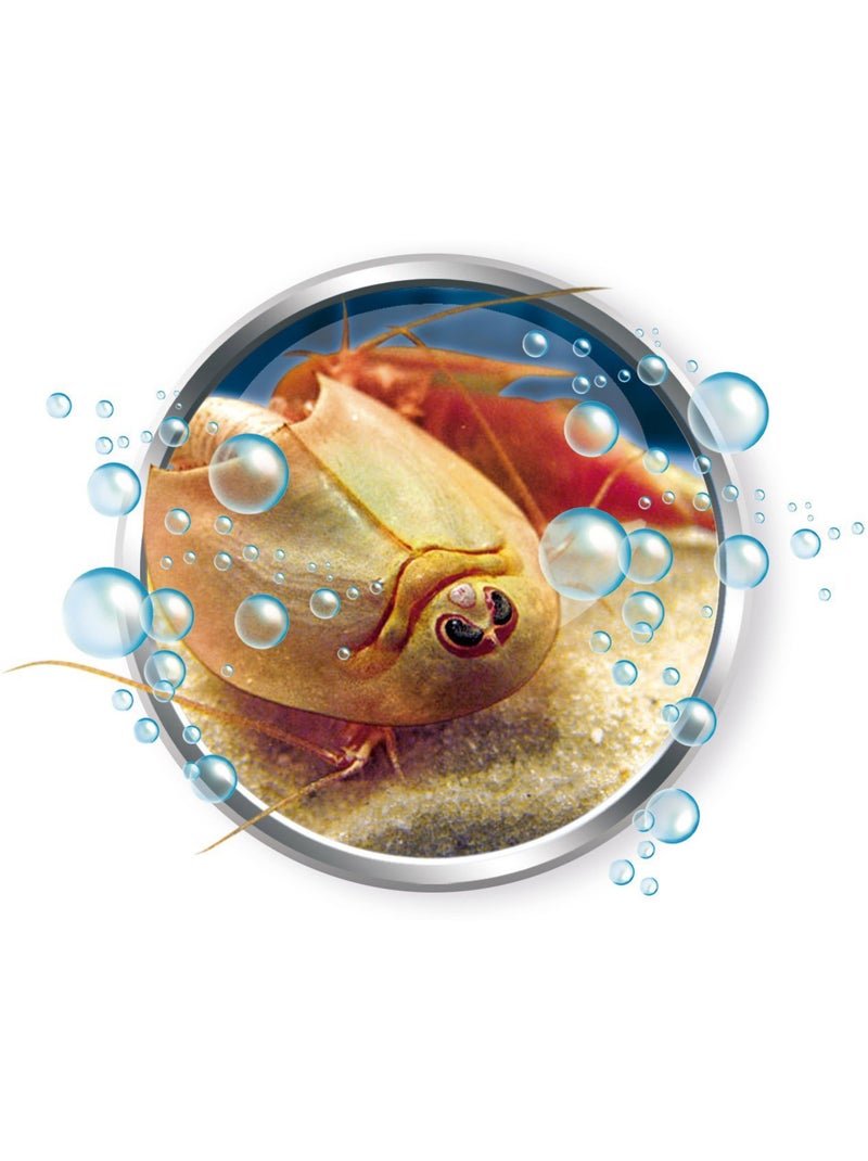 Science et jeu : Mes premiers Triops Multicolore - Kiabi