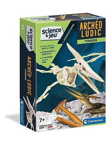 Science et jeu : Ptéranodon