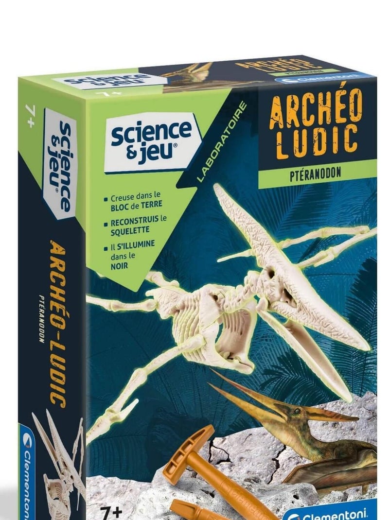 Science et jeu : Ptéranodon N/A - Kiabi