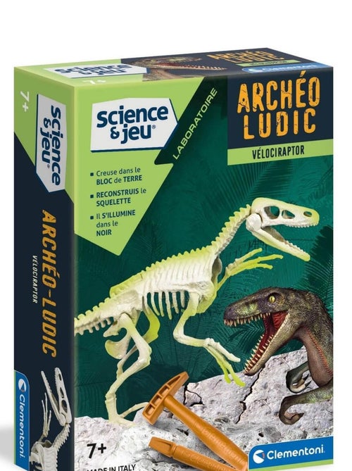 Science et jeu : Vélociraptor - Kiabi