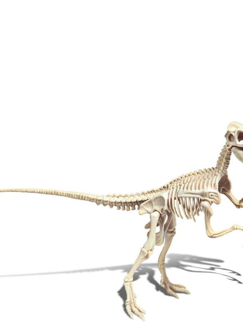 Science et jeu : Vélociraptor N/A - Kiabi