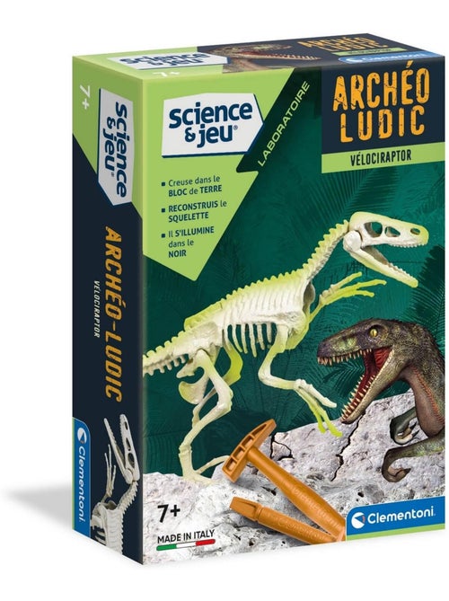Science et jeu : Vélociraptor - Kiabi