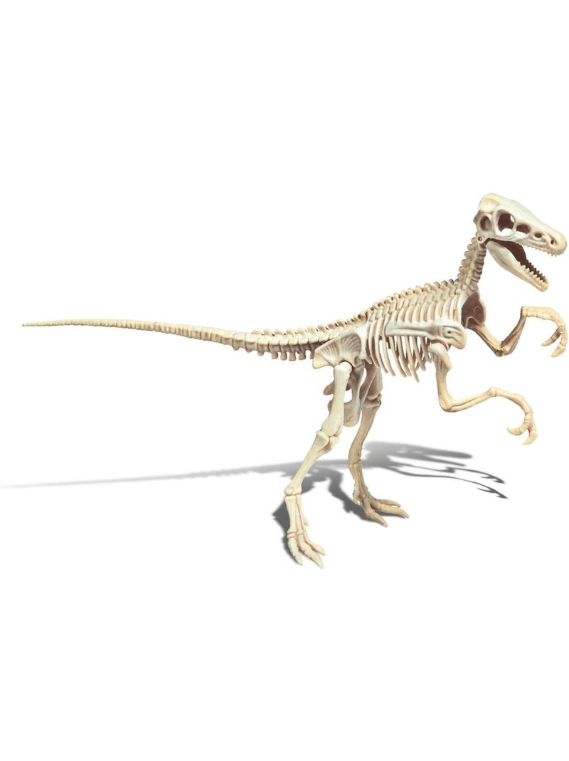 Science et jeu : Vélociraptor Vert - Kiabi