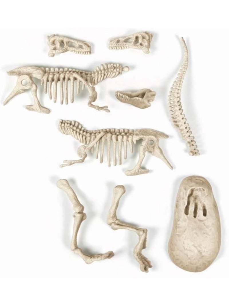 Science & Jeu : Archéo-Ludic : T-Rex Blanc - Kiabi