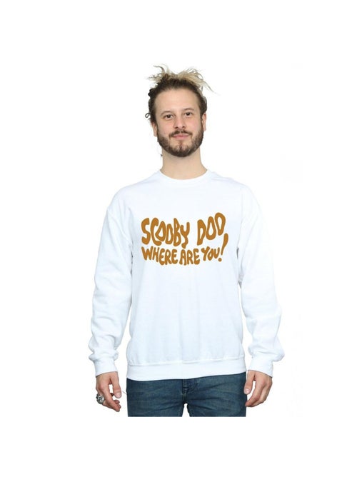Scooby-Doo - Sweat WHERE ARE YOU - Kiabi Scooby-Doo - Sweat WHERE ARE YOU - Kiabi