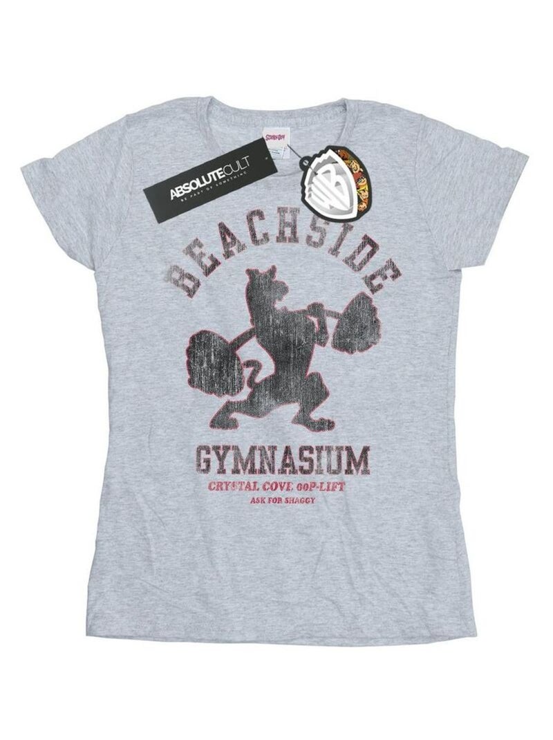 Scooby Doo - T-shirt BEACHSIDE GYMNASIUM Gris chiné - Kiabi