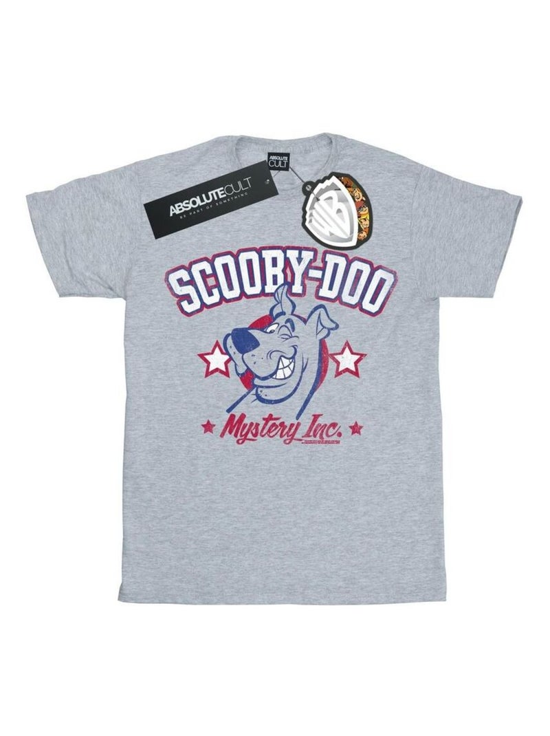 Scooby Doo - T-shirt COLLEGIATE Gris chiné - Kiabi