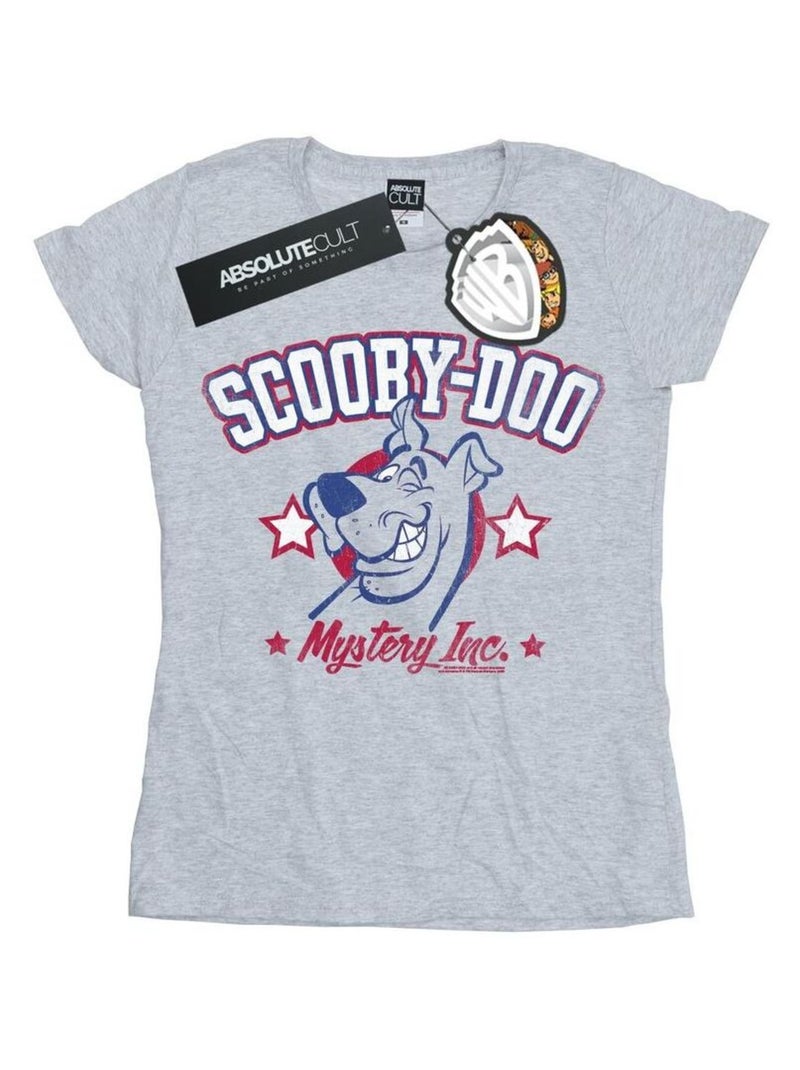 Scooby Doo - T-shirt COLLEGIATE Gris chiné - Kiabi