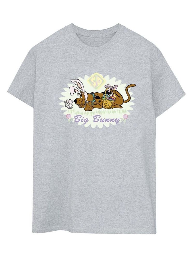 Scooby Doo - T-shirt Gris chiné - Kiabi