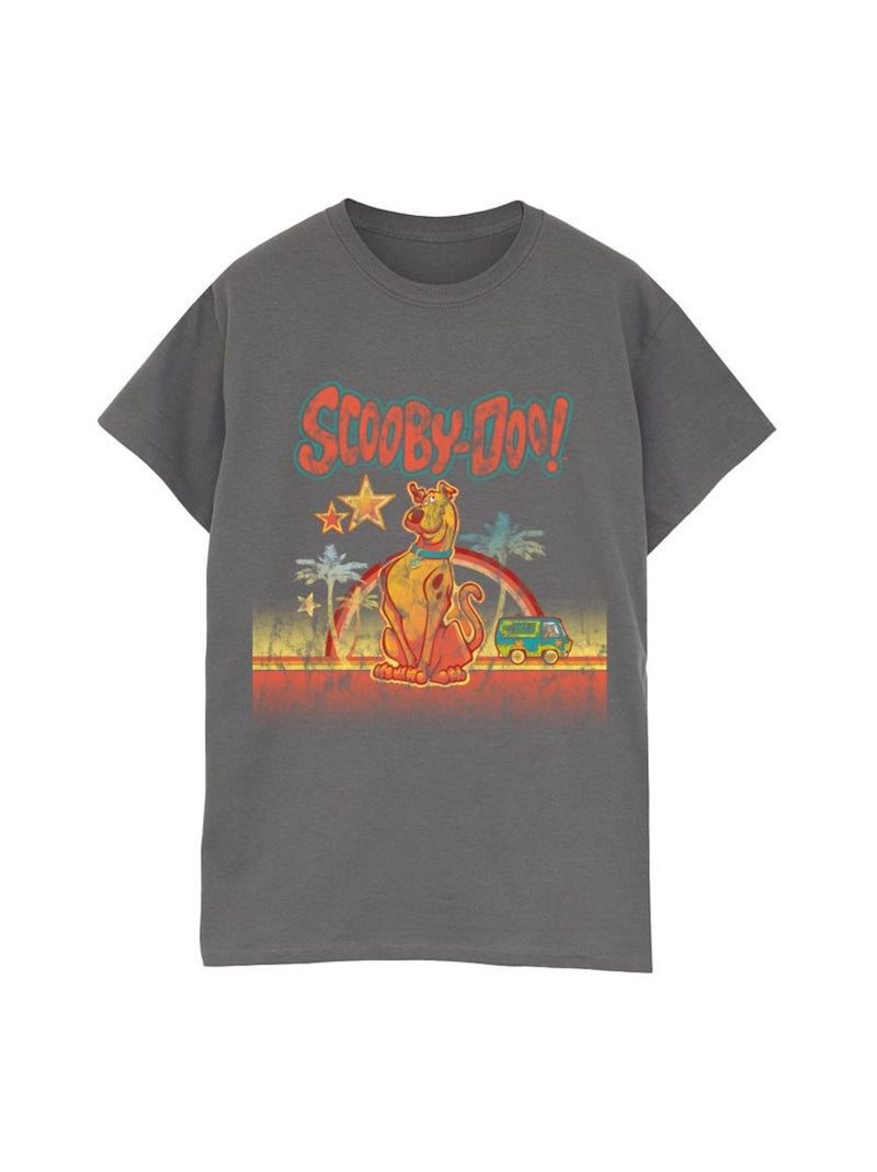 Scooby Doo - T-shirt PALM TREES Gris Noir - Kiabi