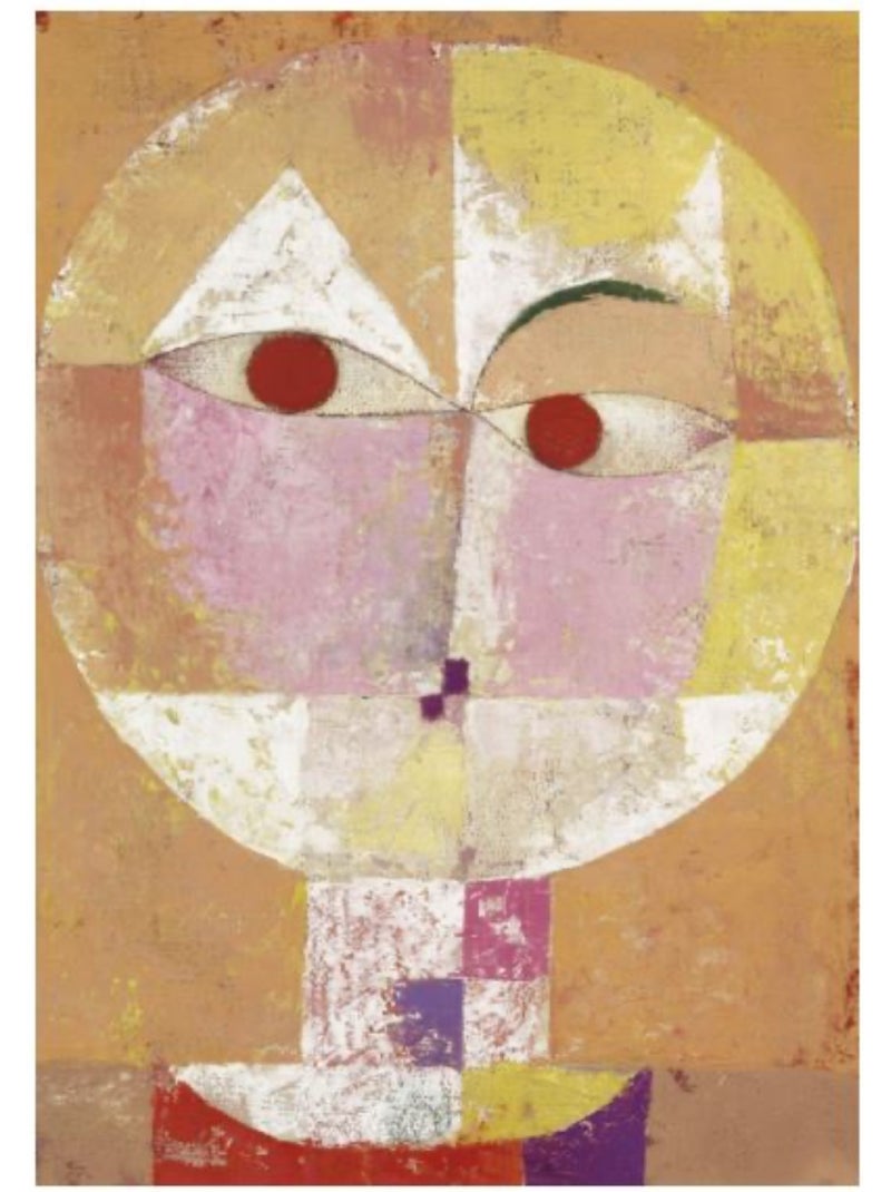 Senecio de klee N/A - Kiabi