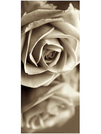 Sepia rose, intissé photo mural, 90 x 202 cm, 1 part