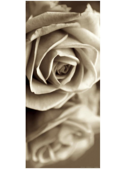 Sepia rose, intissé photo mural, 90 x 202 cm, 1 part - Kiabi