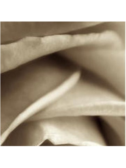Sepia rose, intissé photo mural, 90 x 202 cm, 1 part - Kiabi